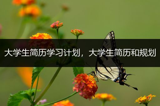 大学生简历学习计划，大学生简历和规划
