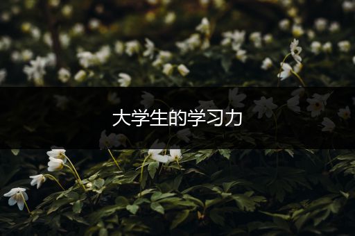 大学生的学习力