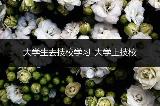大学生去技校学习_大学上技校
