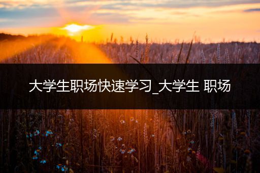 大学生职场快速学习_大学生 职场