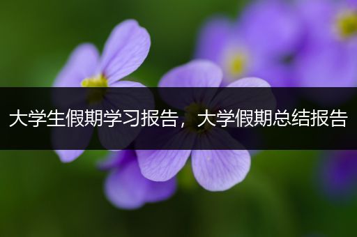 大学生假期学习报告，大学假期总结报告
