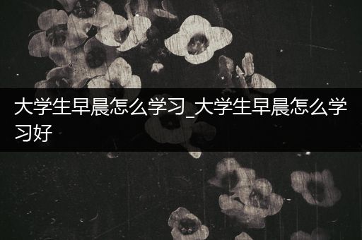 大学生早晨怎么学习_大学生早晨怎么学习好