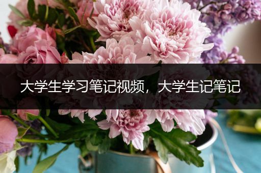 大学生学习笔记视频，大学生记笔记