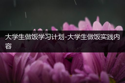 大学生做饭学习计划-大学生做饭实践内容