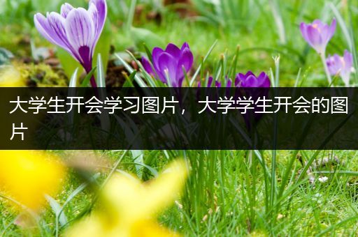 大学生开会学习图片，大学学生开会的图片