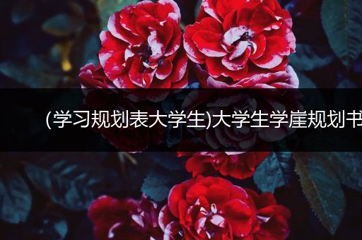 （学习规划表大学生)大学生学崖规划书