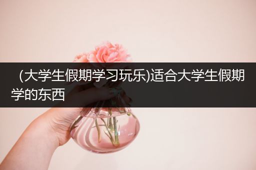 （大学生假期学习玩乐)适合大学生假期学的东西