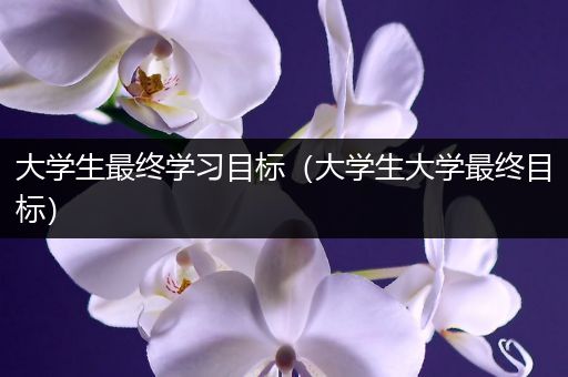 大学生最终学习目标（大学生大学最终目标）