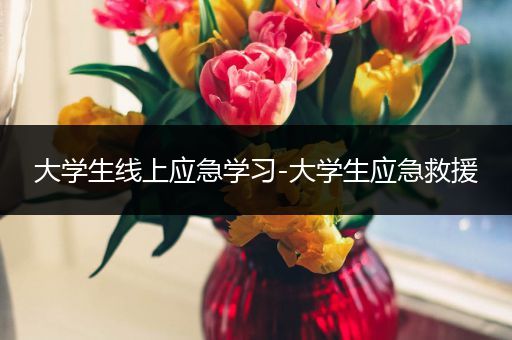 大学生线上应急学习-大学生应急救援