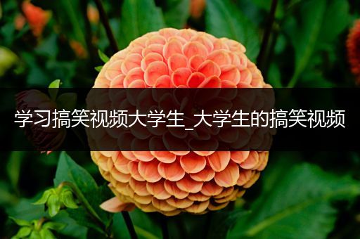 学习搞笑视频大学生_大学生的搞笑视频