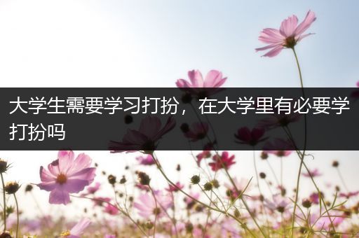 大学生需要学习打扮，在大学里有必要学打扮吗
