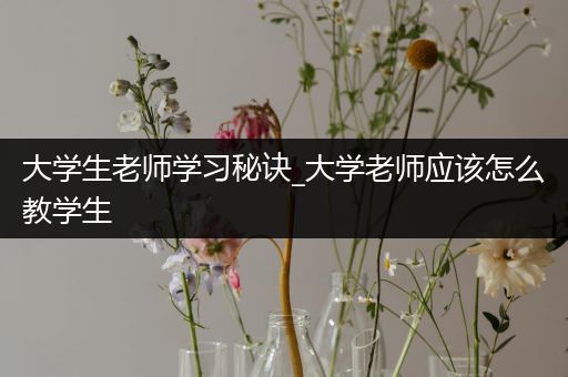 大学生老师学习秘诀_大学老师应该怎么教学生