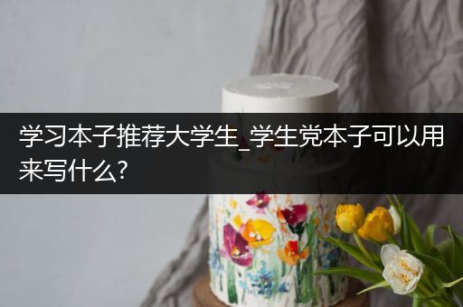 学习本子推荐大学生_学生党本子可以用来写什么?