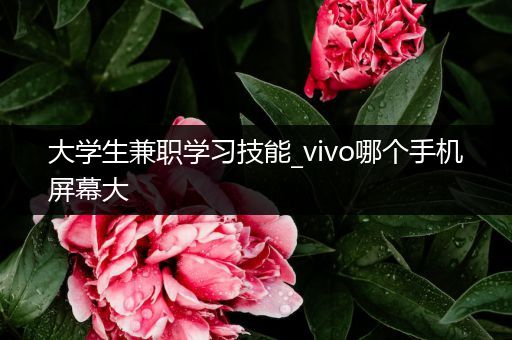 大学生兼职学习技能_vivo哪个手机屏幕大