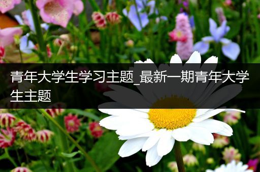 青年大学生学习主题_最新一期青年大学生主题