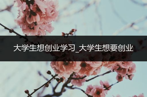 大学生想创业学习_大学生想要创业