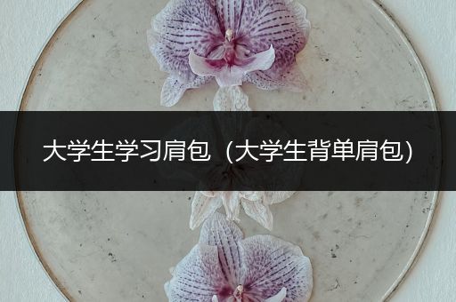 大学生学习肩包（大学生背单肩包）