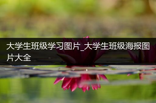 大学生班级学习图片_大学生班级海报图片大全