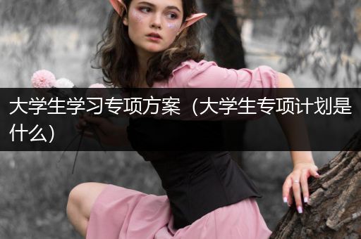 大学生学习专项方案（大学生专项计划是什么）