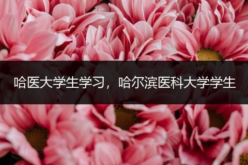 哈医大学生学习，哈尔滨医科大学学生