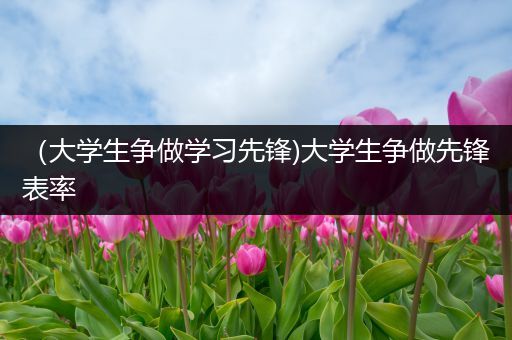 （大学生争做学习先锋)大学生争做先锋表率