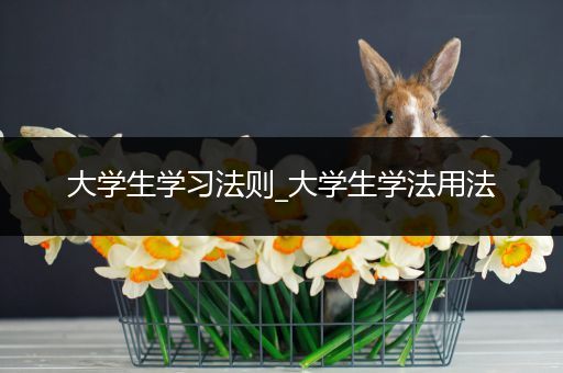 大学生学习法则_大学生学法用法