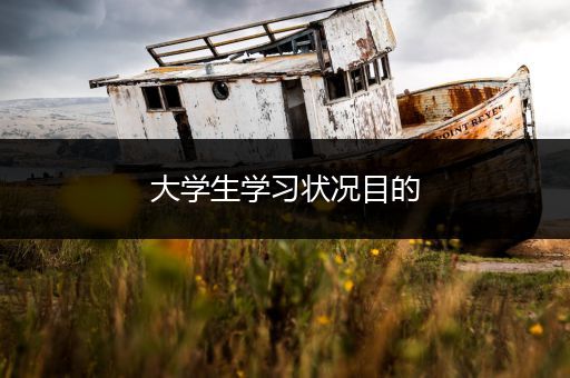 大学生学习状况目的
