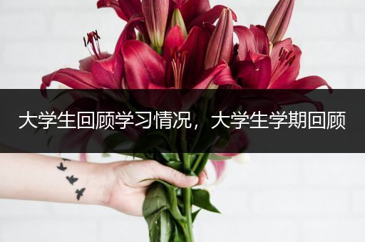 大学生回顾学习情况，大学生学期回顾