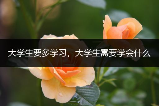 大学生要多学习，大学生需要学会什么