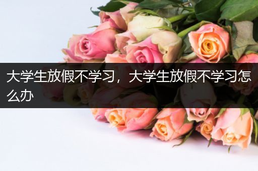 大学生放假不学习，大学生放假不学习怎么办