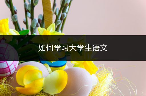 如何学习大学生语文