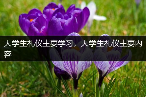 大学生礼仪主要学习，大学生礼仪主要内容
