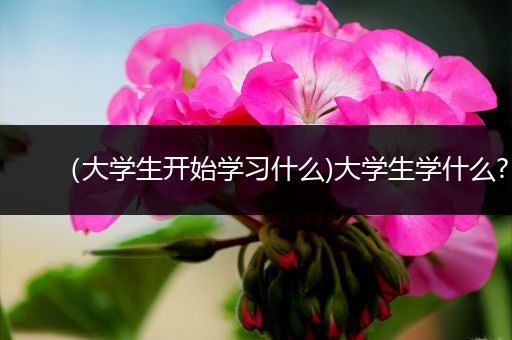 （大学生开始学习什么)大学生学什么?
