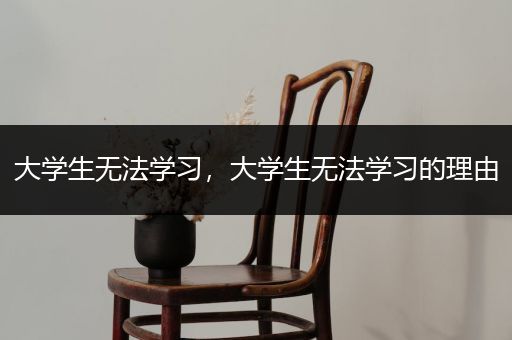 大学生无法学习，大学生无法学习的理由