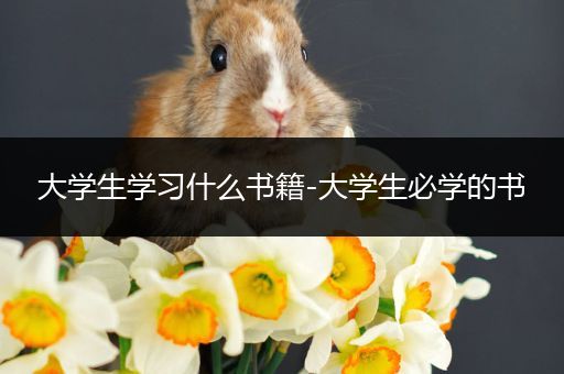 大学生学习什么书籍-大学生必学的书