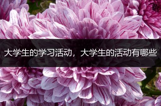 大学生的学习活动，大学生的活动有哪些