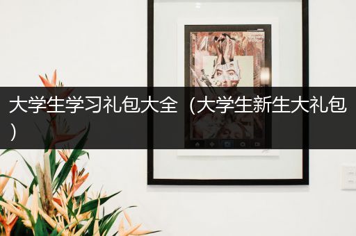 大学生学习礼包大全（大学生新生大礼包）