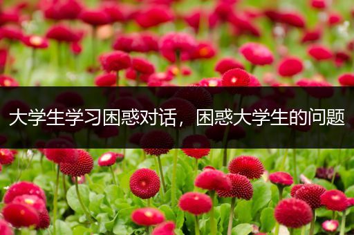 大学生学习困惑对话，困惑大学生的问题