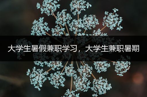 大学生暑假兼职学习，大学生兼职暑期
