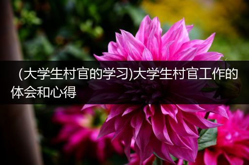（大学生村官的学习)大学生村官工作的体会和心得