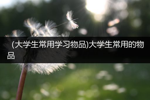 （大学生常用学习物品)大学生常用的物品