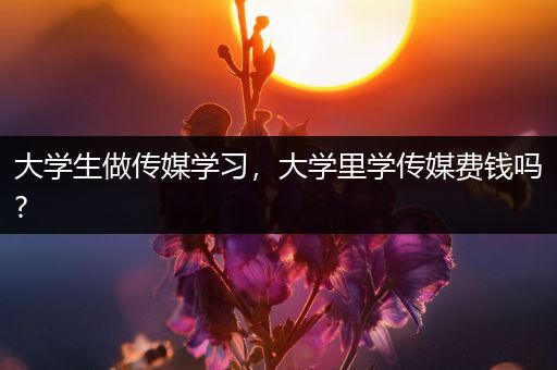 大学生做传媒学习，大学里学传媒费钱吗?