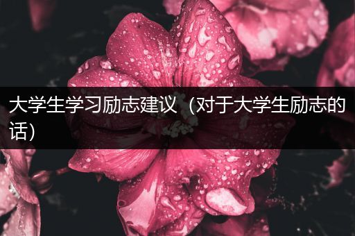 大学生学习励志建议（对于大学生励志的话）