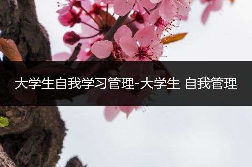 大学生自我学习管理-大学生 自我管理