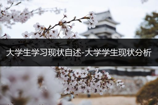 大学生学习现状自述-大学学生现状分析
