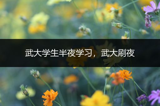 武大学生半夜学习，武大刷夜