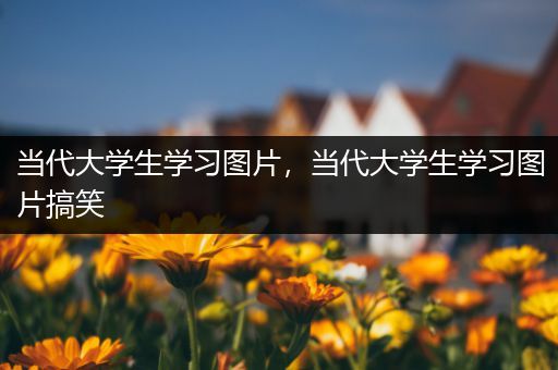 当代大学生学习图片，当代大学生学习图片搞笑
