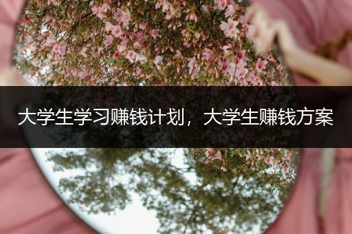 大学生学习赚钱计划，大学生赚钱方案