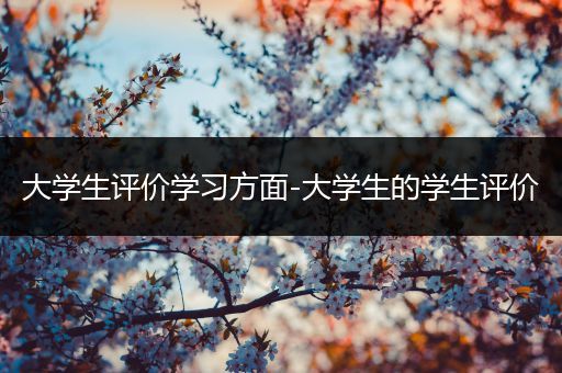 大学生评价学习方面-大学生的学生评价
