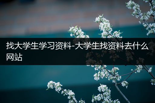 找大学生学习资料-大学生找资料去什么网站